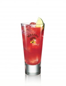 20110811_wyborowa_malibu_funky_0028_a