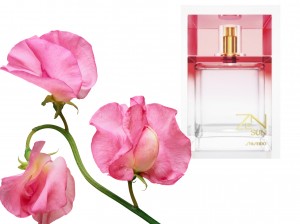 24503_abbiks5kyf_240_