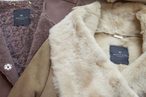 16396_787168797996969_7801468277490866104_n