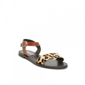 13_STEVEMADDEN-SANDALS_DONDDI-L_LEOPARD MULTI_249zl (1) (Small)