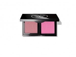 Customizable_Palette_2Pan_FH15_RGB (2)