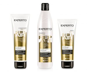 EXPERTO PROFESSIONAL_REPAIR_set