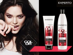 EXPERTO PROFESSIONAL_COLOR kompozycja