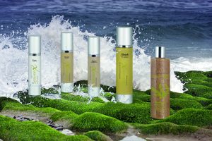 wszystkie produkty.-mini