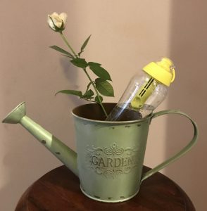 butelka dafi beautyshow