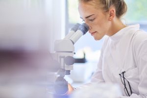 a female research scientist is analysing a sample on her microscope in a microbiology lab . the lab is brightly lit with natural light . Blurred glassware at side of frame provides copy space .