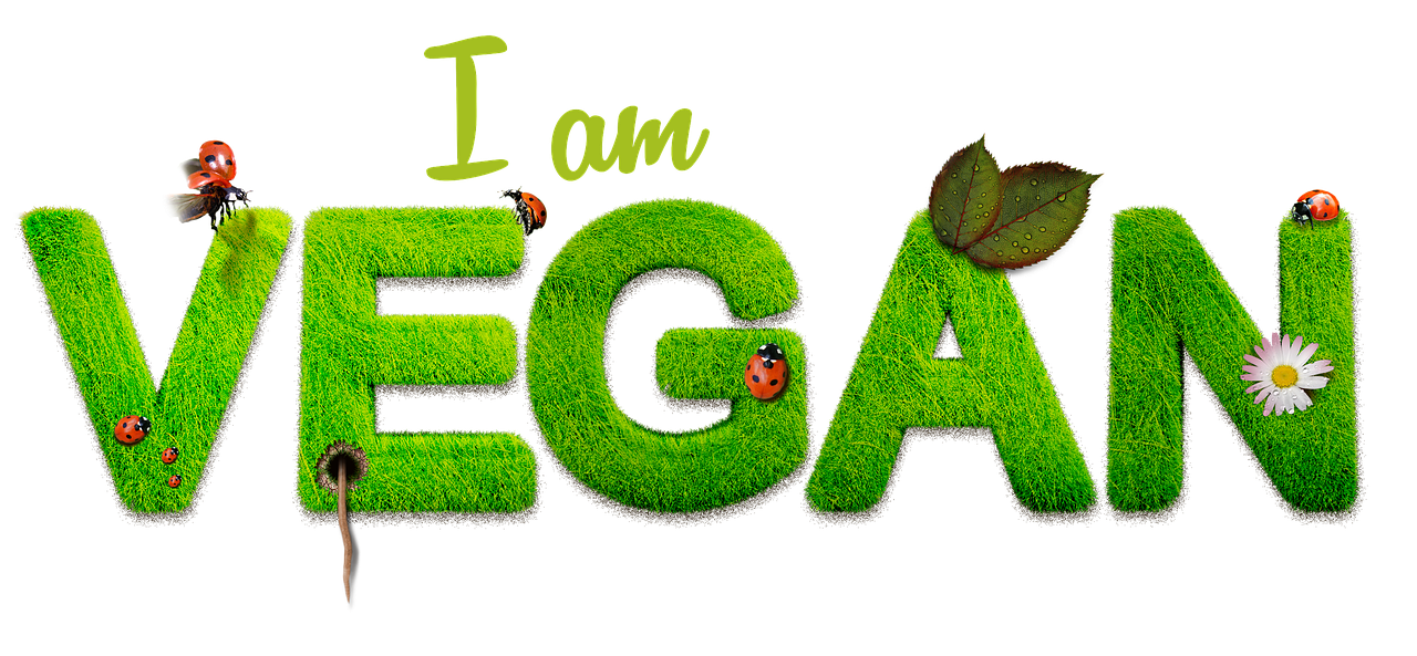vegan-1091086_1280 (2)